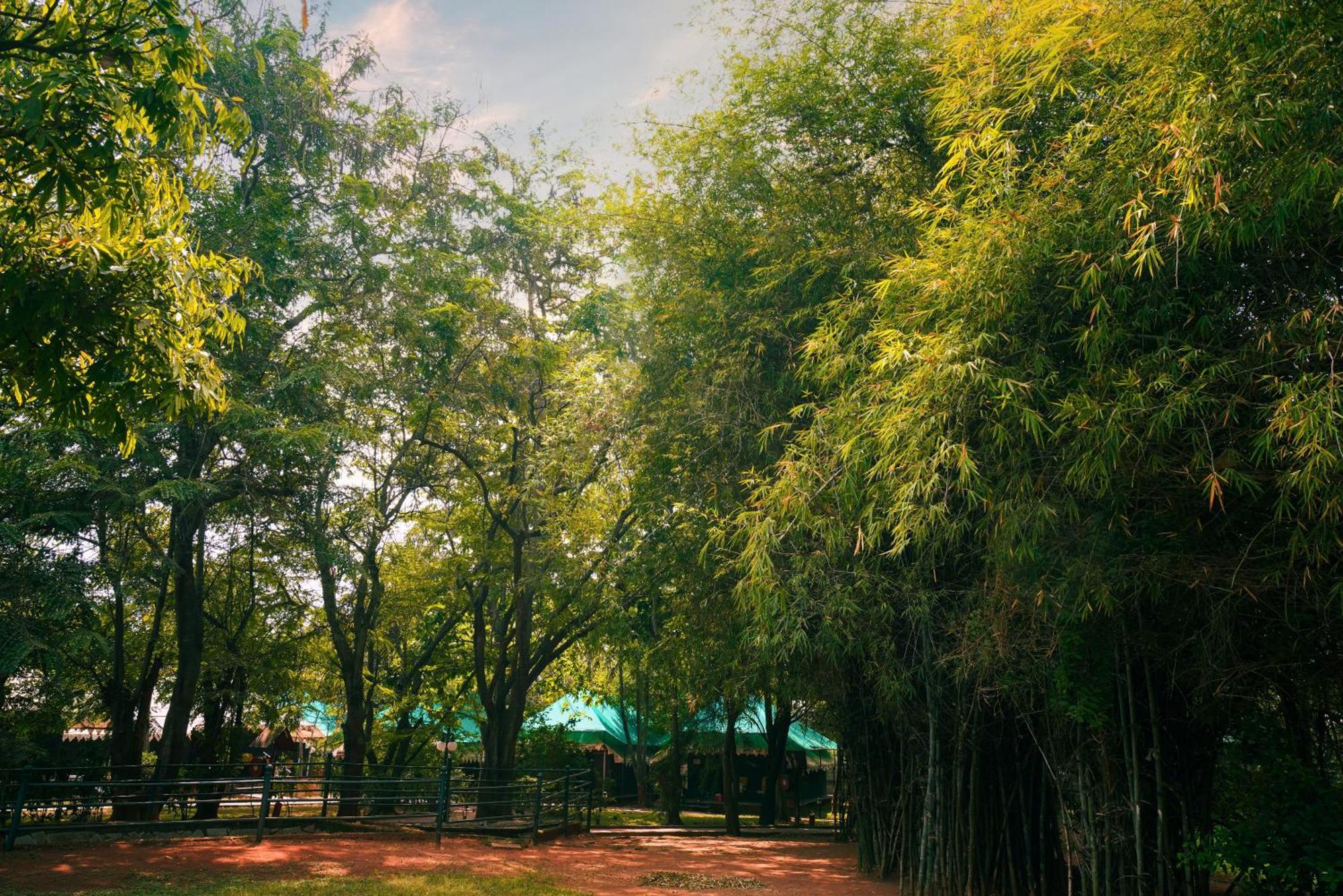 Olde Bangalore Resort And Wellness Center Devanahalli ภายนอก รูปภาพ